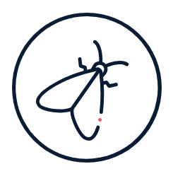 Colour Restoration and Moth Damage